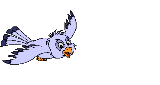 anim4.gif