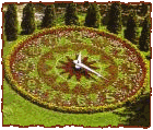 The flower-clock