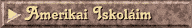 Amerikai iskolaim
